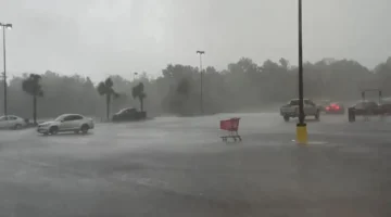 تحذير للأرصاد.. ضباب كثيف يسيطر على طقس الغد ودرجات حرارة متباينة بالمحافظات